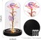 Birthday Gifts for Women,Mothers Day Flowers Gifts for Mom from Daughter Son,Valentines Gifts for Her,Colorful Rainbow Light Up Rose in A Glass Dome Mom Presents for Her Wife Grandma